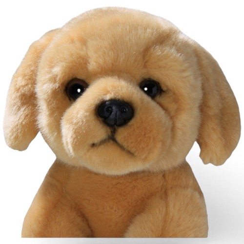 Carl dick golden retriever - carl,
