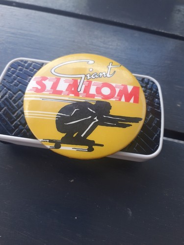 Riesenslalom skate boarding - riesenslalom,