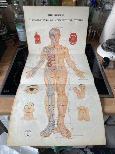 Akupunktur poster set aus - poster, 3