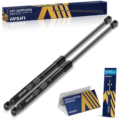 Aisin gasgm 01674 - aisin, 2x