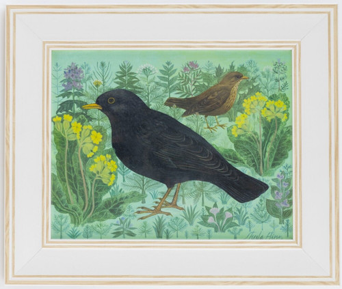 Sheila flinn blackbird and - sheila,