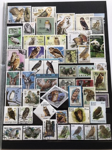 Sammlung eulen auf gr - sammlung,