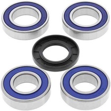 Wheel Bearing Kit Rear