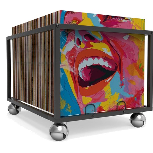 Vinyl storage regal organizer - storage,