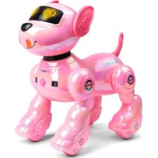 Roboter Hund Kinder