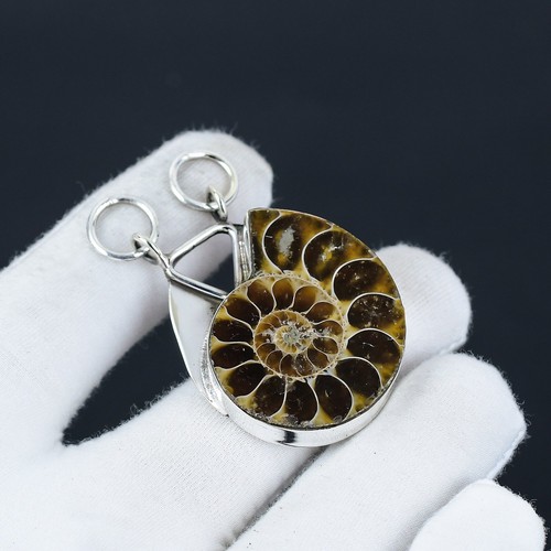 Ammonit fossil anhänger 925 - fossil,