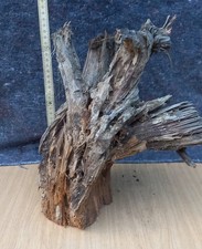 Wurzel Treibholz Kunstwerk Kunstobjekt Aquarium Skulptur Wurzelstock Basteln