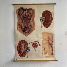 Schulwandkarte Lehrkarte DDR