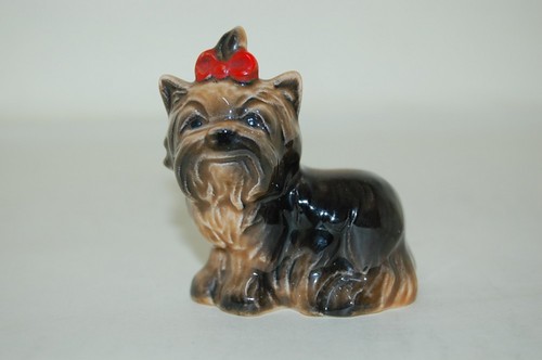Terrier mit schleife 515 hund - terrier,