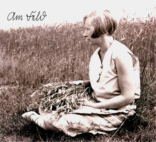 Stein feld cd - stein, forseti