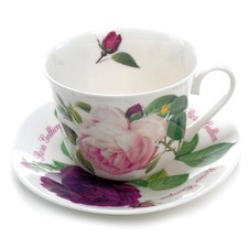 Jumbo Rosentasse Versailles