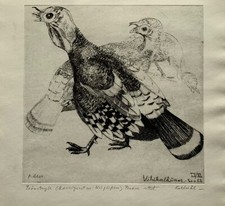 Karl Adser 1912-1995 Radierung Wilde Truthähne Dänemark 1982