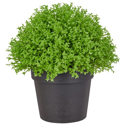 Kunstpflanze selaginella apoda - kunstpflanze,