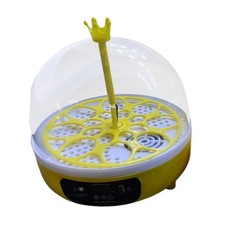 8 Ei Inkubator klare Ansicht