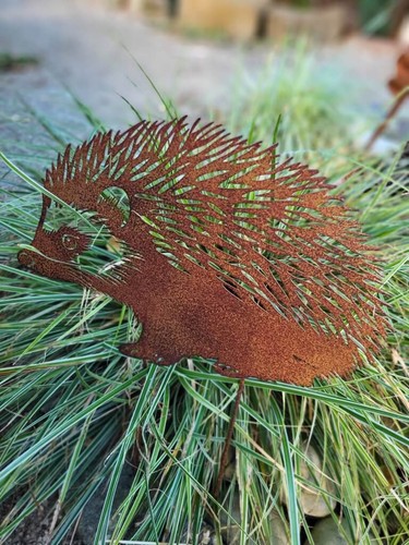 Edelrost igel mikki - edelrost,