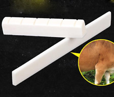 6 String Akustische Klassische