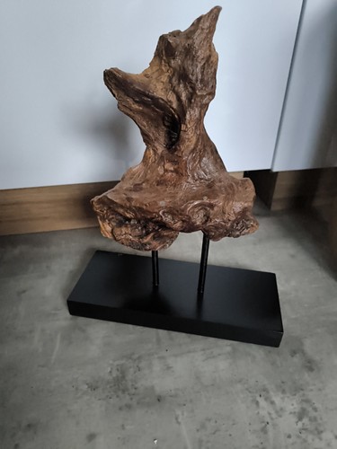 Treibholz skulptur - treibholz,