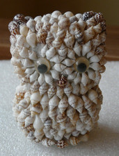 Eule aus kleinen Muscheln