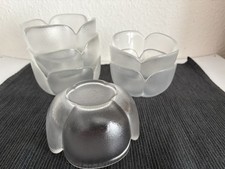 6 Rosenthal Glas Schale