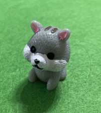 Hund Tier Garten Landschaft