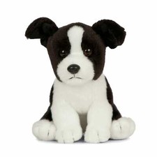 Border collie sitzend - collie, hund