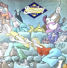 David Bromberg Band - You Should See The Rest Of The Band LP 1980 (VG+/VG+) '