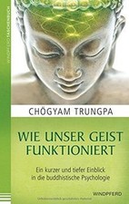 Wie unser Geist funktioniert: Ein kurzer und tief... | Buch | Zustand akzeptabel