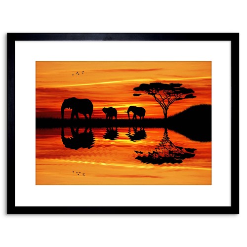 Foto afrikanischer elefant - foto,