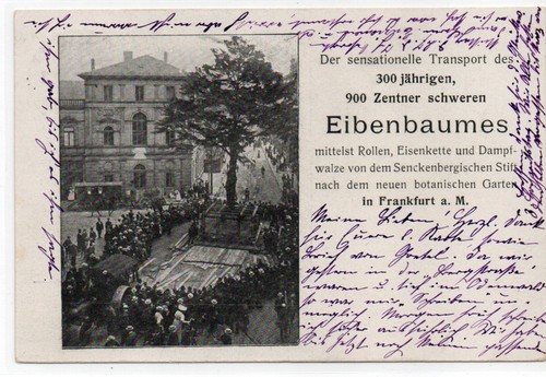 Frankfurt main 1907 - ak,, main,
