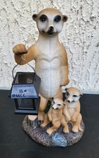 Erdmännchen Familie mit