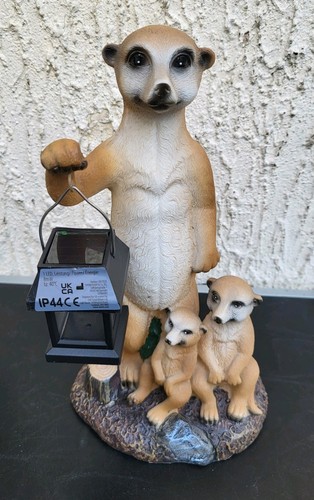 Erdmännchen familie mit - familie,