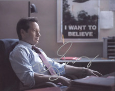 DAVID DUCHOVNY als Fox Mulder