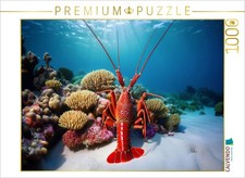 CALVENDO Puzzle Languste im