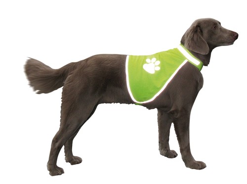 Nobby sicherheitsweste hund - nobby,