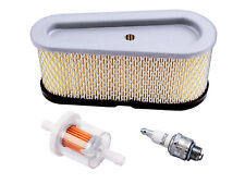 Filter + Zündkerze passend Briggs & Stratton Motor 12 PS 496894, 493909