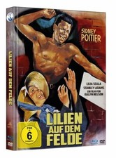 Lilien auf dem Felde -