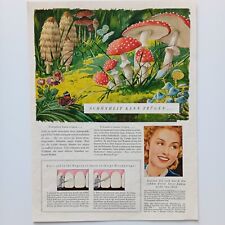 1939 XL Odol Mundwasser, Körperpflege, Werbeanzeige, Reklame, Werbung