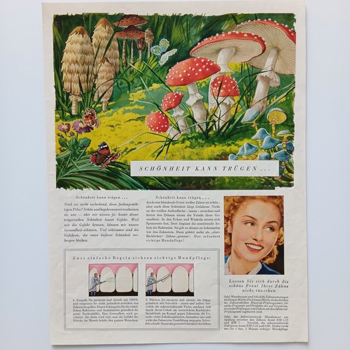 1939 odol mundwasser - xl,