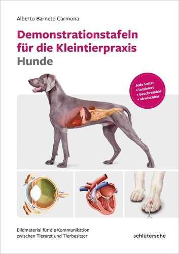 Demonstrationstafeln für die