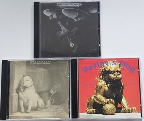 Cds pavlov dog at the - dog,