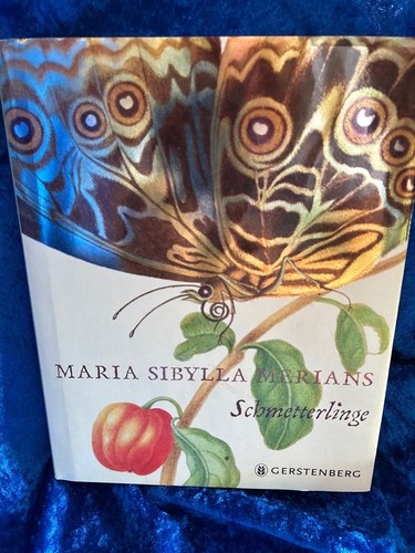 Maria sibylla merians - maria,