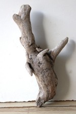 Treibholz Schwemmholz