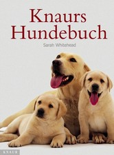 Hundesprache verstehen