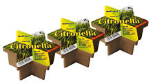 11 x Duft-Stern Citronella 75