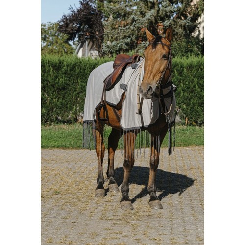Ekkia riding world - ekkia,