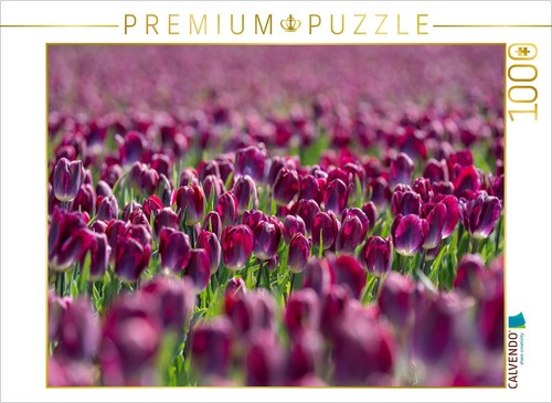 Calvendo puzzle magnificent - calvendo,