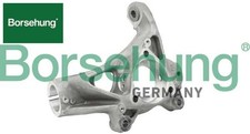 BORSEHUNG B18510 Achsschenkel
