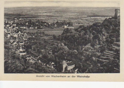 Wachenheim der weinstraße - wachenheim,
