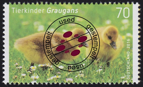 3218 tierkinder graugans - 3218, tierkinder: