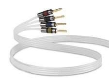 QED Reference Silver